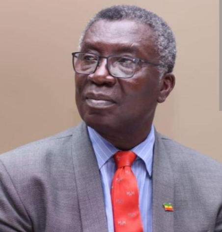 Punish those who destroy the earth–Prof Frimpong Boateng