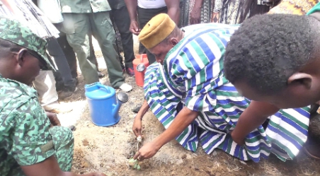 Green Ghana: 600,000 trees to be planted across Upper East Region