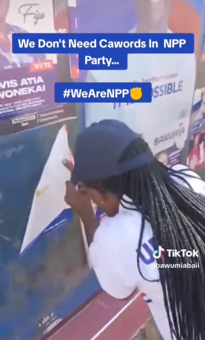 VIDEO: Twi speaking NPP supporters in Upper East angrily tear down Alan Cash posters