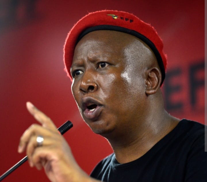  Julius Malema Urges Ghana to Tackle Corruption and Avoid Entrenching Leaders in Power