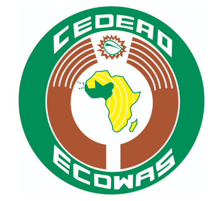 ECOWAS Moves Forward with Single Currency Initiative, ECO