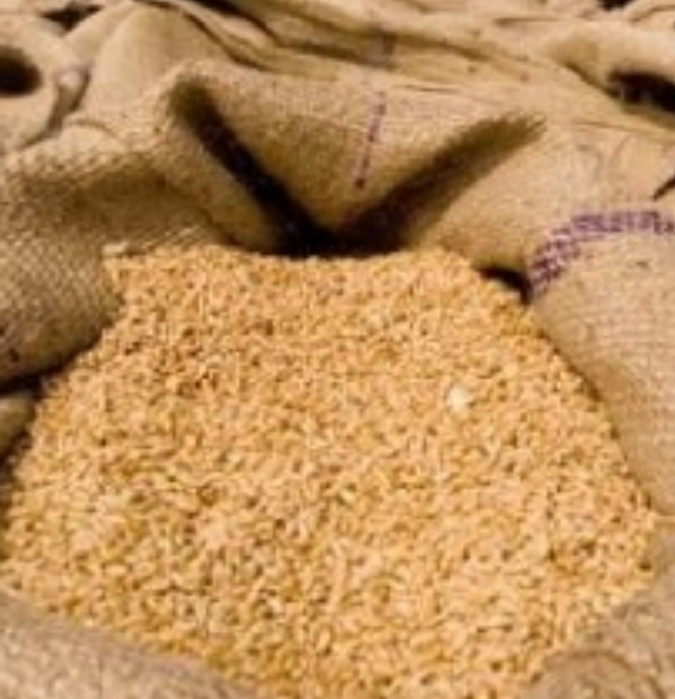 Ghana Implements Export Ban to Combat Devastating Drought Impact on Agriculture