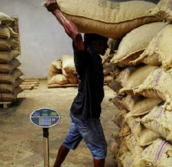 Gov’t set to raise cocoa farmgate price by nearly 45%, sources say