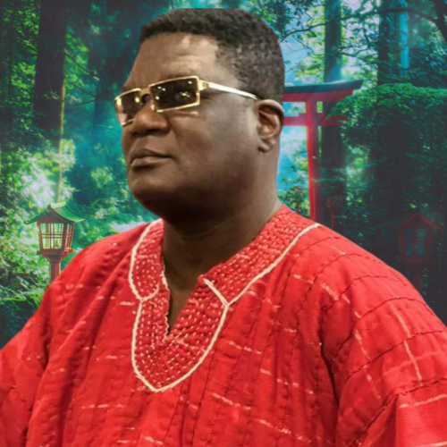 Repurpose Galamsey Equipment for our feeder& Rural Roads, don’t burn them—Gabriel Agambila offer free advice to security forces