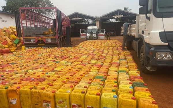Immigration Intercepts 1115 Gallons of Cocoa Beans