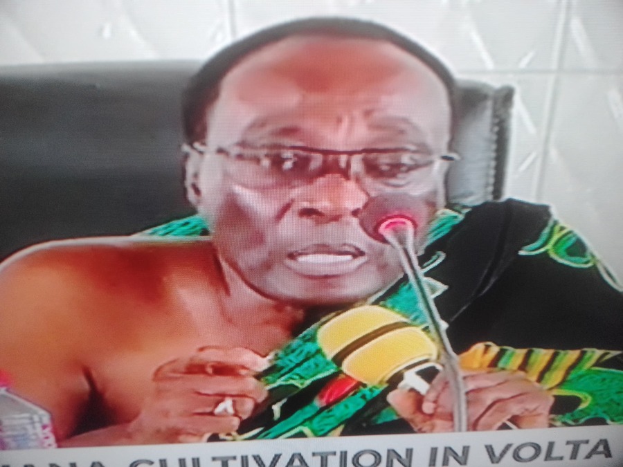 Volta Region Minister and House of Chiefs Alarmed by Rise in Marijuana Farming