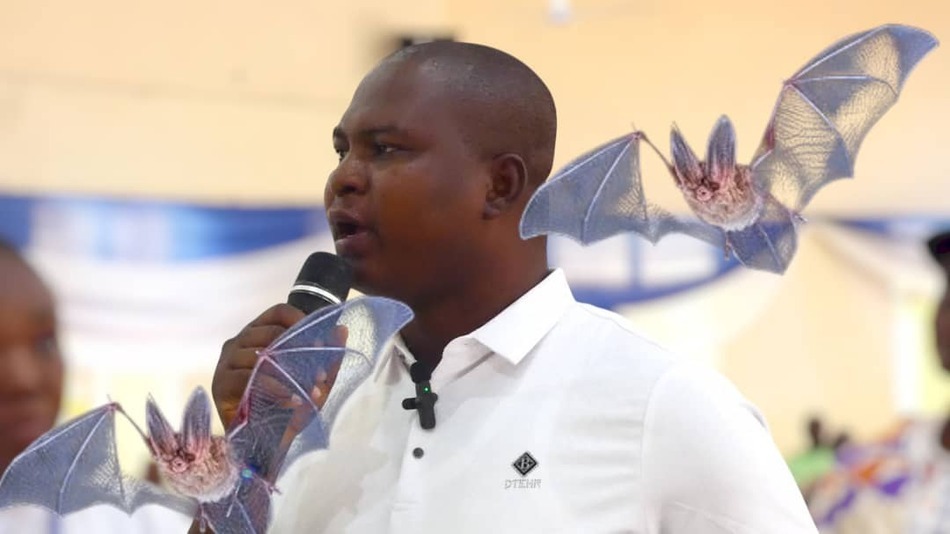 Bats Blamed for Persistent Power Outages in Builsa North: Community Demands Lasting Solution