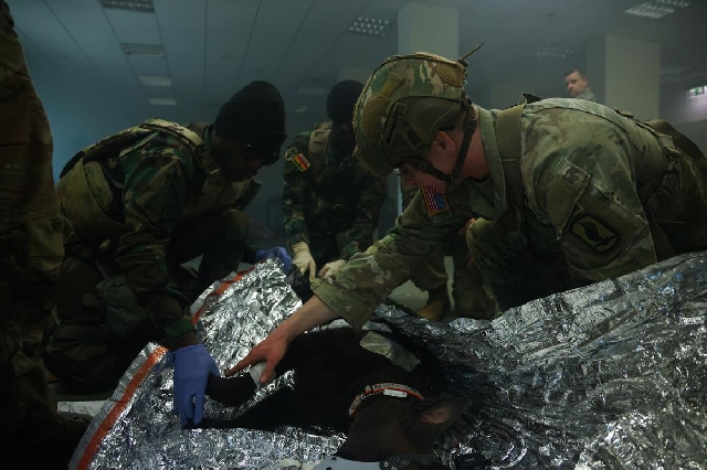 Ghanaian Military Medics Excel at Multinational Competition in Italy, Deepening U.S. Partnership