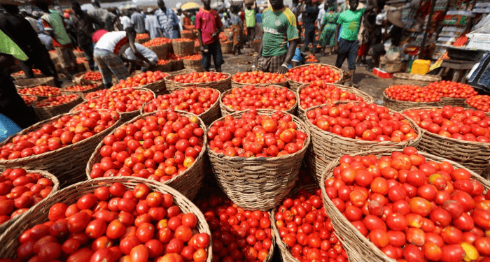 Accra Tomato Traders Warn of Imminent Shortage and Price Hikes Amid Supply Chain Threats