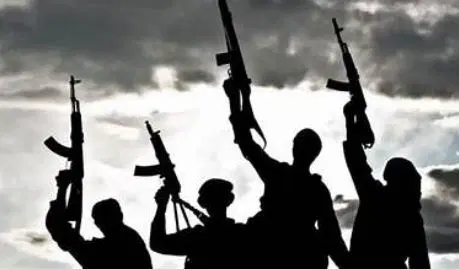US Religious Freedom Panel Alleges Collusion in Nigeria’s Deadly Attacks, Urges Tougher US Policy as Violence Escalates