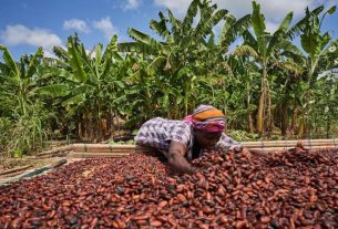 Ghana and Côte d’Ivoire Join Forces to Harmonise Cocoa Pricing, Boost Farmers’ Incomes