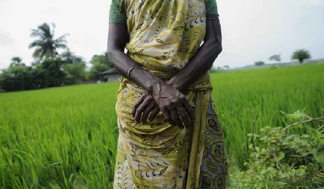 91,000 Victims of Modern Slavery Identified in Ghana Since 2021, Says Global Freedom Network
