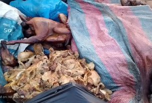 Residents Warned as Spoiled Poultry Products Illegally Dumped in Ho Community