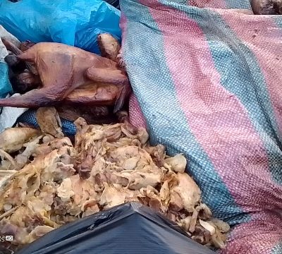 Residents Warned as Spoiled Poultry Products Illegally Dumped in Ho Community