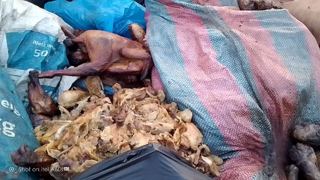 Residents Warned as Spoiled Poultry Products Illegally Dumped in Ho Community