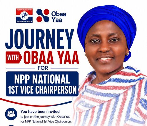 Nearly 30 Years of Service Drive Yaa Amponsah Frimpong’s NPP First Vice Chair Bid