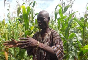 SCRAS Project Records 51.1% Adoption of Sustainable Farming Practices Among 7,200 Farmers – NABOCADO