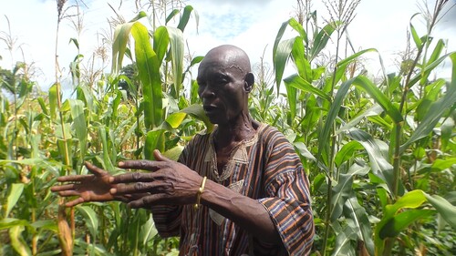 Farmer