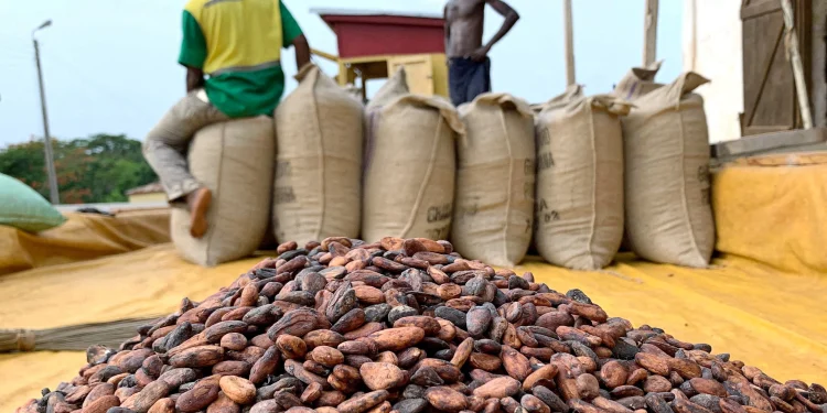 NPP Challenges Government’s Cocoa Price Decision, Cites Broken Promises to Farmers